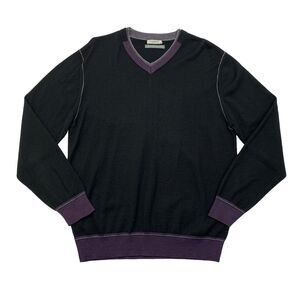 Clotherie Phoenix Wool Sweater Mens L Large Black/Purple V Neck Italian Merino